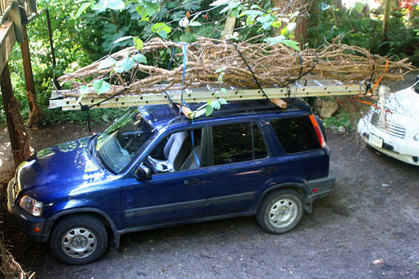 Bringing materials